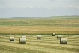 Hay bales in field. Date : 2007