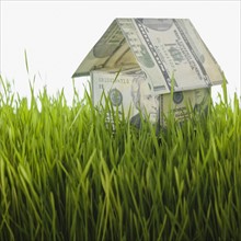 Money house in grass.