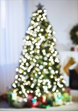 Defocused shot of Christmas tree.