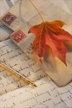 Autumn leaf on old-fashioned letters.