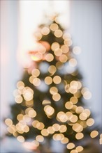 Defocused shot of Christmas tree.