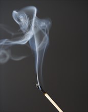 Close up of extinguished match. Date : 2008