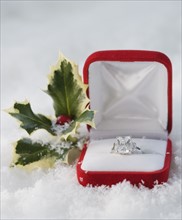 Engagement ring in box in snow. Date : 2008