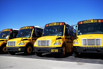 school buses in a row. Date : 2008
