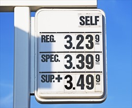 gasoline prices. Date : 2008