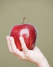 Close up of child holding apple. Date : 2008
