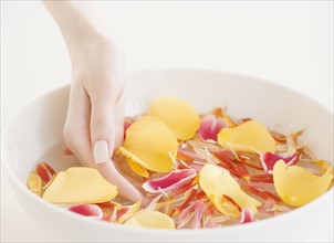 Woman with hand in bowl of water and flower petals. Date : 2008