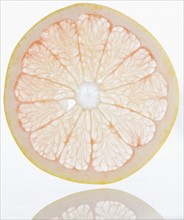 Close up of grapefruit slice. Date : 2008
