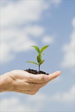 Man holding soil and plant in open hand.