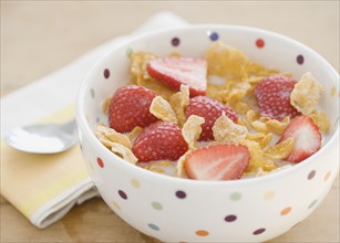 Close up of cereal and strawberries in bowl. Date : 2008