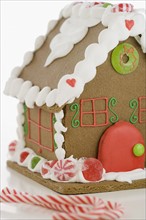 Close up of gingerbread house. Date : 2008