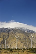 Wind farm in front of mountains, Palm Springs, California, United States.