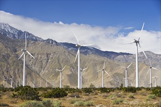 Wind farm in front of mountains, Palm Springs, California, United States.