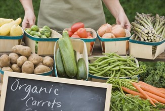 Baskets of organic vegetables.