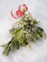Close up of mistletoe in snow. Date : 2008