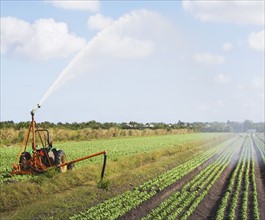 Tractor watering field, Florida, United States. Date : 2008