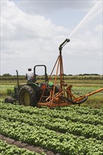 Tractor watering field, Florida, United States. Date : 2008