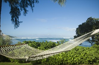Hammock with ocean in background, Oahu, Hawaii, United States. Date : 2008