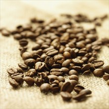 Close up of coffee beans. Date : 2008