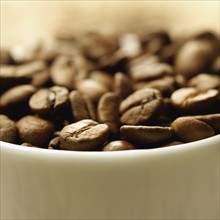 Close up of coffee beans. Date : 2008