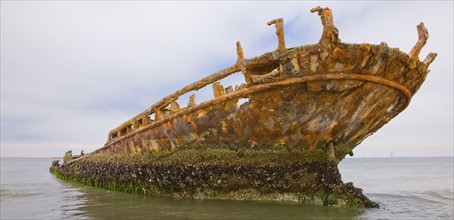 Old shipwreck sticking out of water, Namibia, Africa. Date : 2008