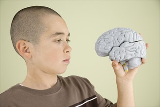 Boy looking at human brain model. Date : 2008