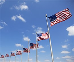Low angle view of American flags, Washington DC, United States. Date : 2008