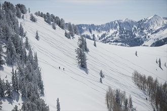 Skiers on mountain, Wasatch Mountains, Utah, United States. Date : 2008