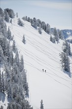 Skiers on mountain, Wasatch Mountains, Utah, United States. Date : 2008