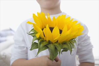 Boy holding sunflower. Date : 2008