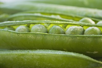 Close up peas in a pod.