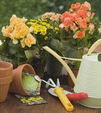 Flowers and potting supplies.