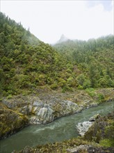 River running through forested canyon. Date : 2008