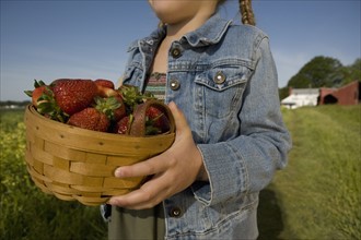 Girl picking strawberries. Date : 2008