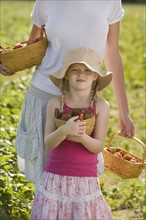 Mother and daughter picking fresh strawberries. Date : 2008