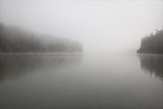 Foggy lake scene. Date : 2008