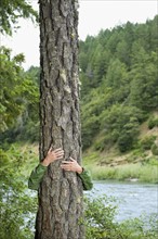 Hiker hugging tree. Date : 2008