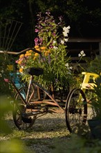 Antique tricycle carrying fresh flowers. Date : 2008