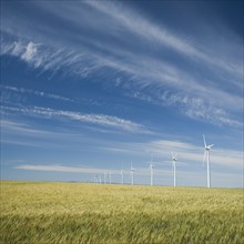 Windmills in a row on wind farm. Date : 2008