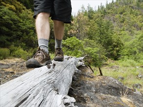 Hiker balancing on log. Date : 2008