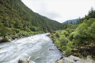 Scenic view of river and forested canyon. Date : 2008