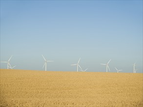Row on windmills on wind farm. Date : 2008