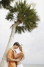 Couple hugging under palm tree. Date : 2008