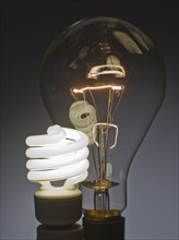 Large light bulb and compact fluorescent bulb.