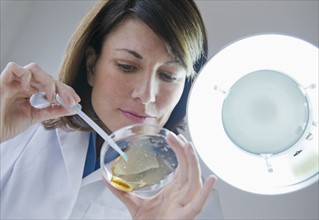 Female scientist dropping liquid in petri dish.