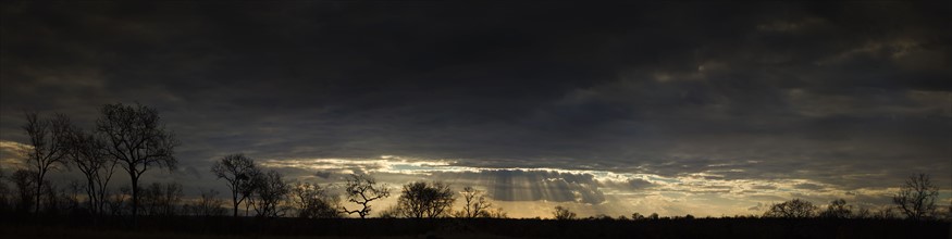 Sunbeams shining from clouds over African landscape. Date: 2008
