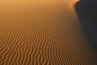 Sand striations of Namibia coast. Date: 2008