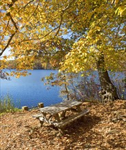 Picnic bench in autumn leaves at edge of lake. Date : 2008