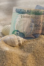 Close up of Bermuda currency in sand with seashells.