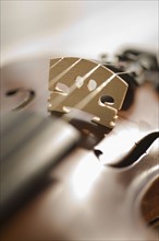 Close up of violin strings.